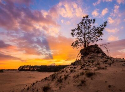 Dutch Seasons – Timelapse Veluwe