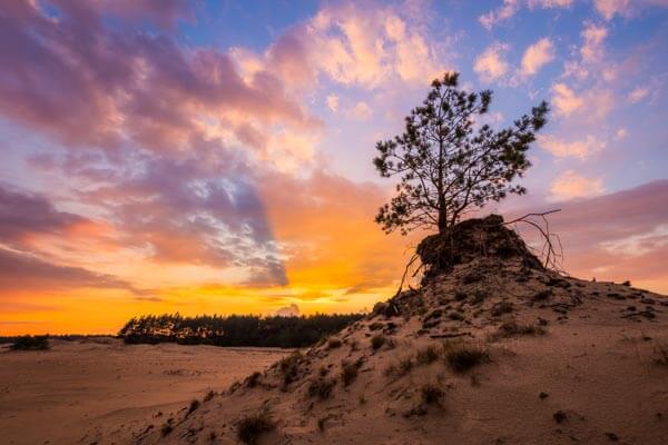 Timelapse films Nederland