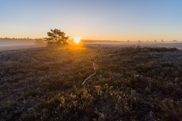 Epe Veluwe timelapse