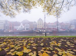 Zwolle In Fog