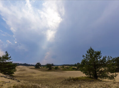Timelapse bui Veluwe
