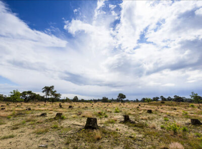 Timelapse wolken Veluwe