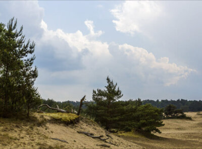 Timelapse veluwe bui