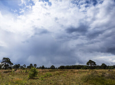 Timelapse regenbui veluwe