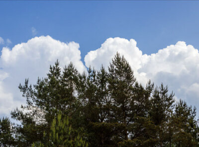 Timelapse cumulus wolken