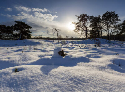 Timelapse sneeuw Veluwe