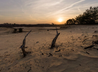 Zonsondergang Veluwe zandverstuiving