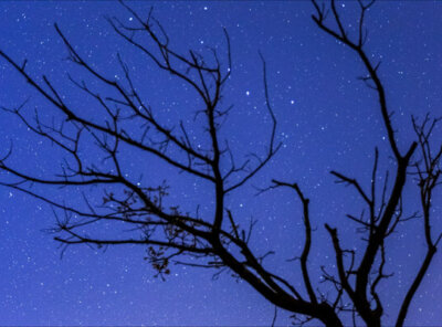 Timelapse dag naar nacht Veluwe