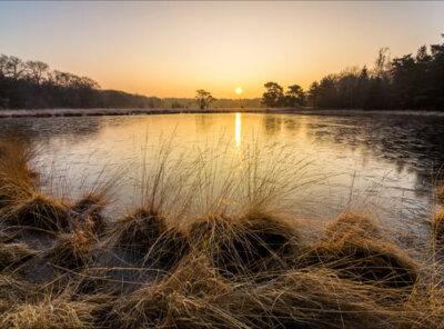 Timelapse bevroren Kootwijkerven