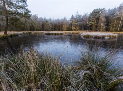 Timelapse bevroren ven