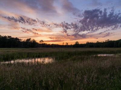 Timelapse zonsondergang beek