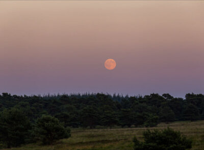 Timelapse Volle maanopkomst