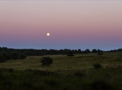 Timelapse volle maan Veluwe