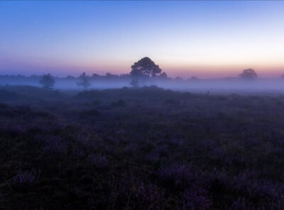 Timelapse heide en mist