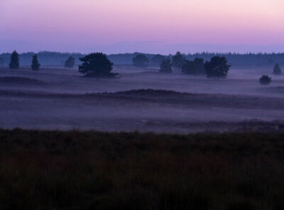 Timelapse mistbanken Veluwe