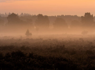 Timelapse mist zonsopkomst