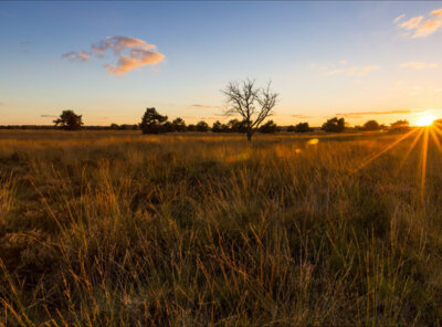 Timelapse zonsondergang Veluwe