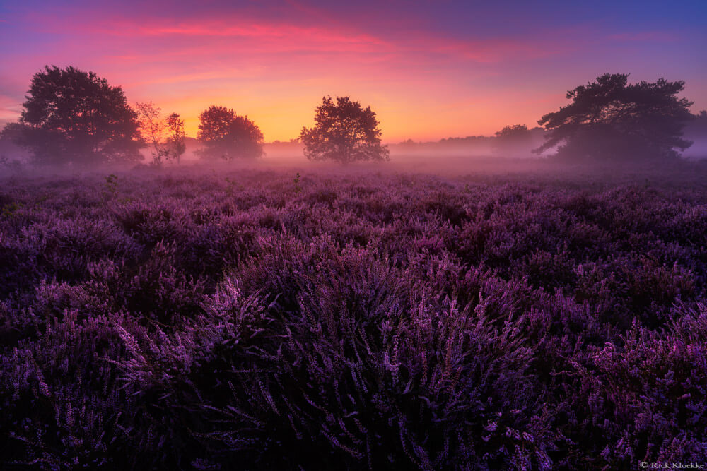 timelapse laten maken