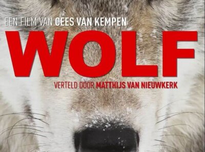 WOLF de film – timelapse
