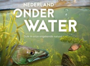Film – Nederland Onder Water