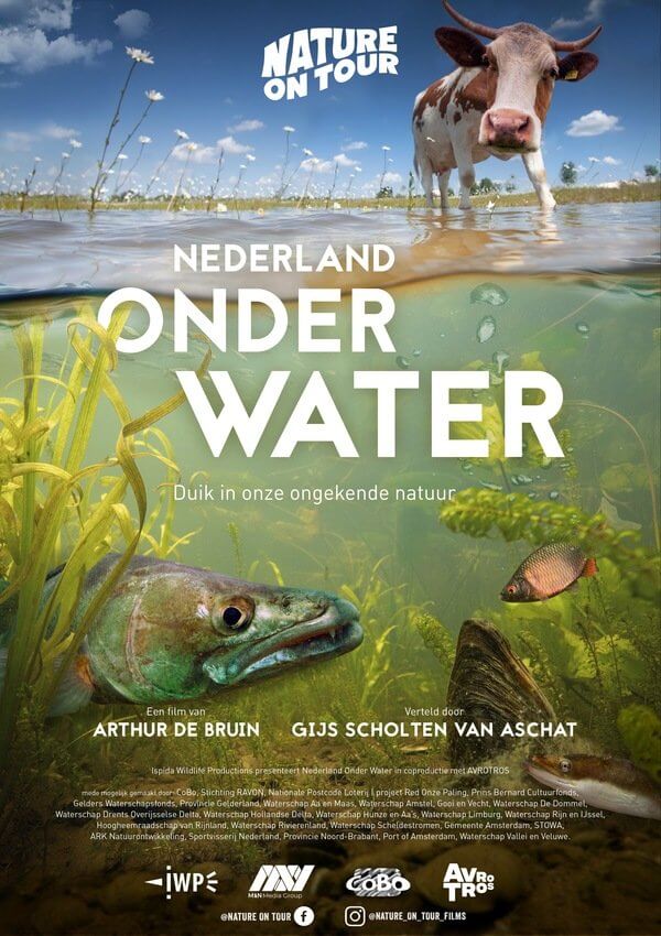 timelapse nederland onder water